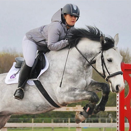 Gray horse wearing a Cavaletti Collection White Saddle Pad and rider clearing a red show jumping obstacle in an outdoor arena. 