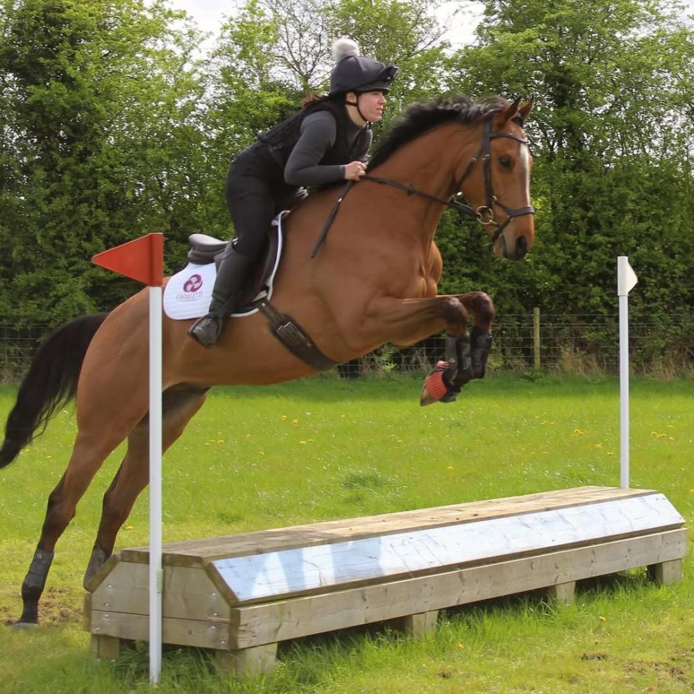 Horse and rider mid jump over a wooden cross country obstacle in an outdoor setting. Photo credit from appyelf.