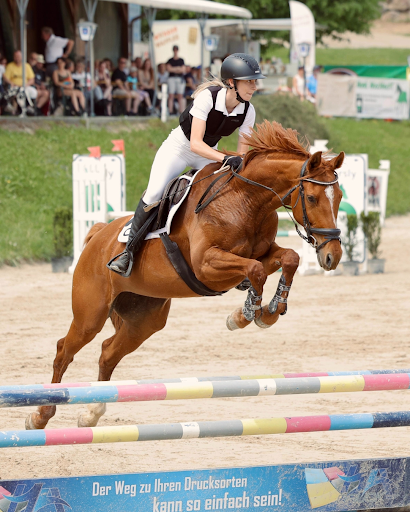 Horse and rider mid‑air over a colorful show‑jumping obstacle in an outdoor arena.