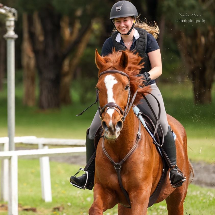 Chestnut horse with a rider in an outdoor arena with green grass and fencing featured in the Cavaletti Collection credit mollyandmaggiee