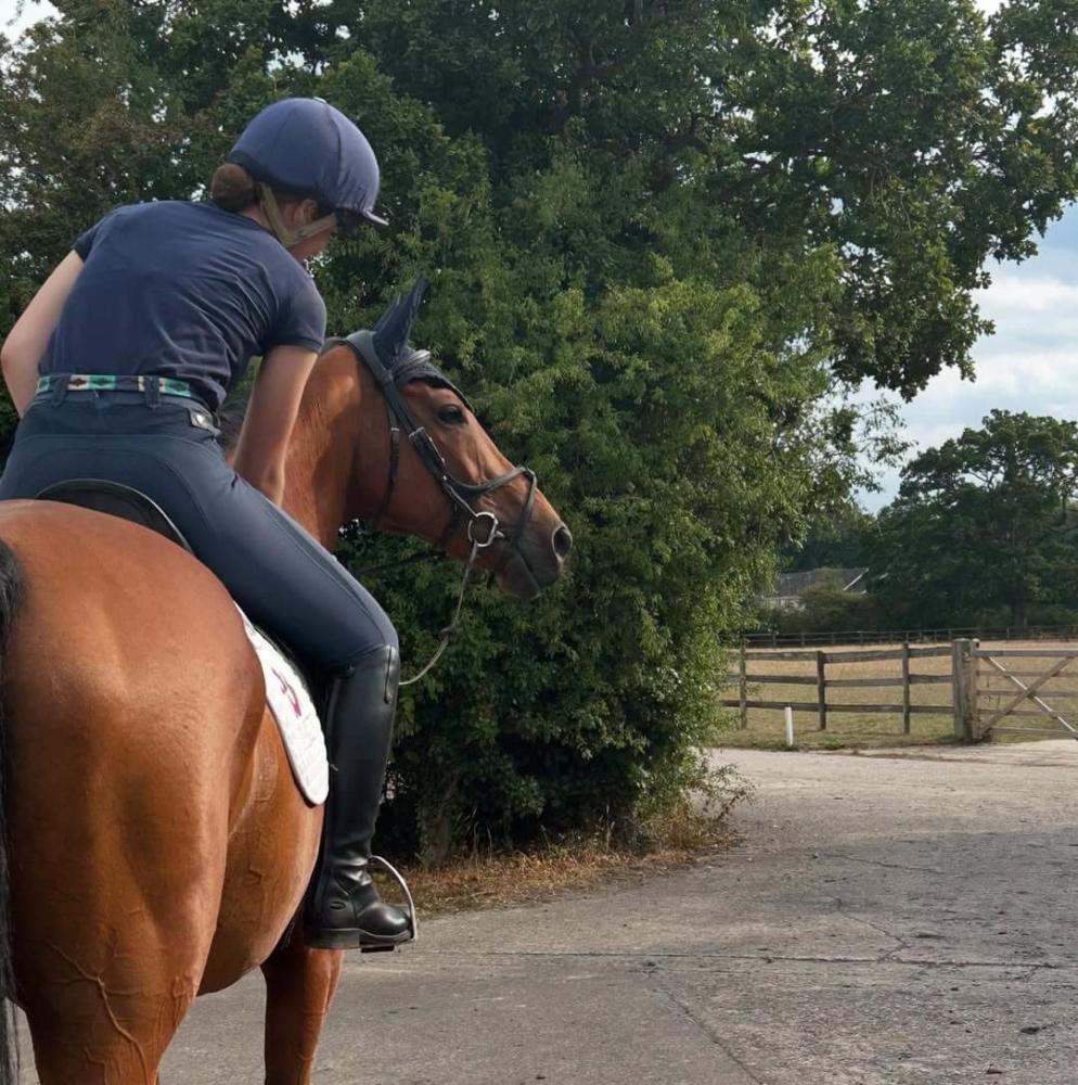 Rider in navy hat and riding wear schooling a bay horse in an outdoor yard with trees fields and wooden gates in the background and a white Cavaletti saddle pad visible. Image credit to team-allerton