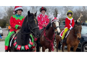 Group of riders dressed in Christmas costumes—including elf, Santa, and festive suits—sitting on decorated horses wearing tinsel, banners, and reindeer antlers during a holiday ride. Image credit to @marney_equine