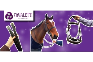 Hands holding Cavaletti Collection black leather bridles beside a brown horse in a black bridle against a purple background.