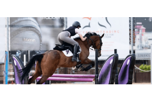 Horse and rider clearing a purple show‑jumping obstacle in an arena, captured mid‑air during a jump.