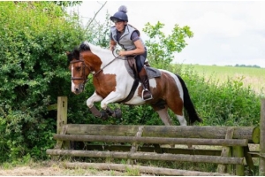 Jump Saddle Selection: A Guide to Choosing the Perfect Fit