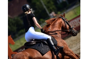Rider in white breeches jumping a chestnut horse during an outdoor equestrian training session Cavaletti Collection.