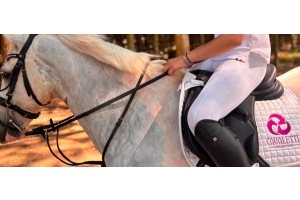 Rider with black reins on a grey horse, wearing a Cavaletti Collection saddle pad