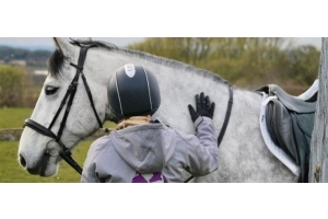 Grey horse standing with a rider in an outdoor field wearing a bridle featured in the Cavaletti Collection for a headcollar welfare check