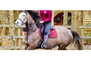 Grey horse with a rider in an outdoor arena with trees and fencing featured in the Cavaletti Collection