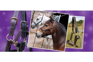 Cavaletti Collection trade stand with saddles bridles and sale displays at an exhibition