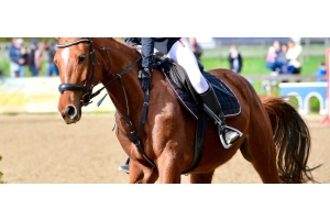 Rider in navy jacket on a chestnut horse in a showjumping arena, stirrup and leather visible
