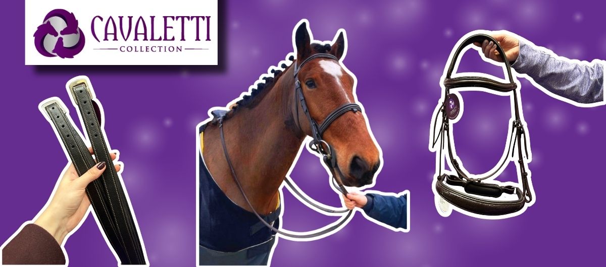 Hands holding Cavaletti Collection black leather bridles beside a brown horse in a black bridle against a purple background.