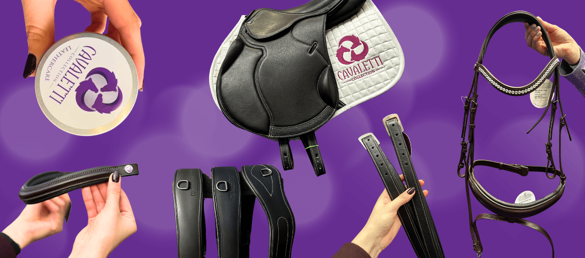 Cavaletti Collection saddle, bridle, girths, stirrup leathers, and leathercare tin arranged on a purple background with a branded saddle pad.