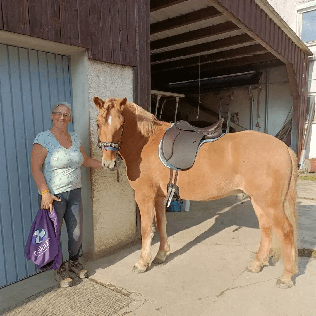Chestnut horse fully tacked up with saddle and bridle standing in a stable area Cavaletti Collection.