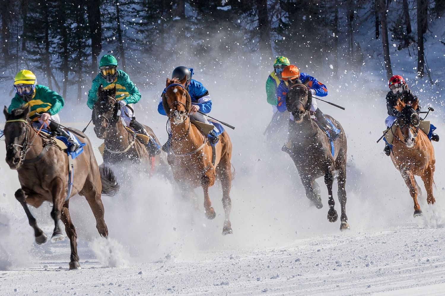 horses racing in the winter 