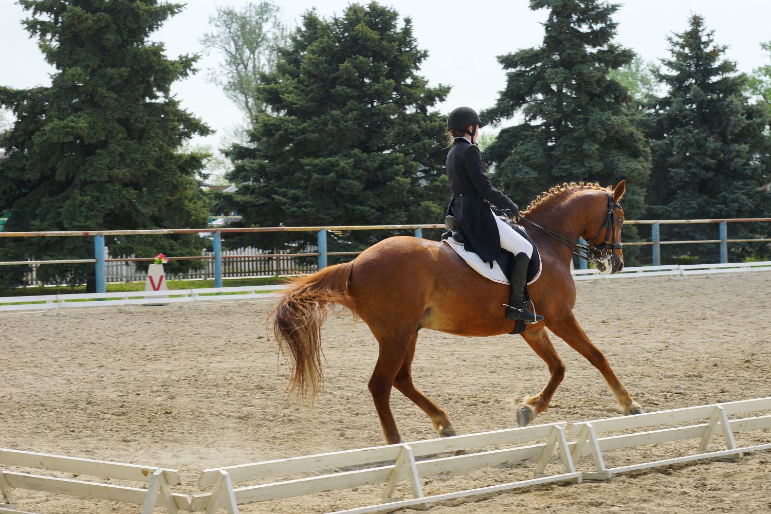 how to memorise dressage arena letters