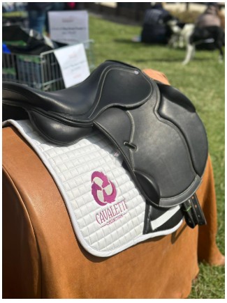 Saddle Care Guide: Maintenance Tips and Tricks