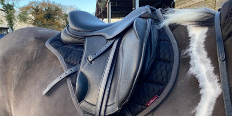 close up of cavaletti leather saddle on grey horse