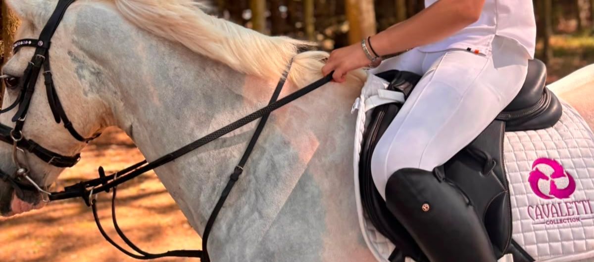 Rider with black reins on a grey horse, wearing a Cavaletti Collection saddle pad