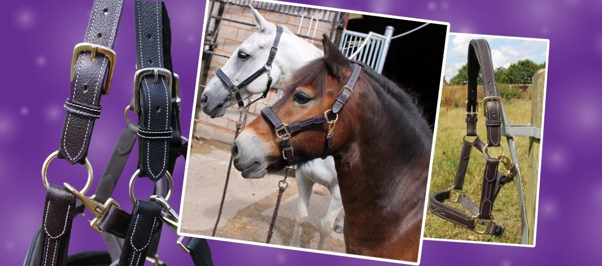Cavaletti Collection trade stand with saddles bridles and sale displays at an exhibition