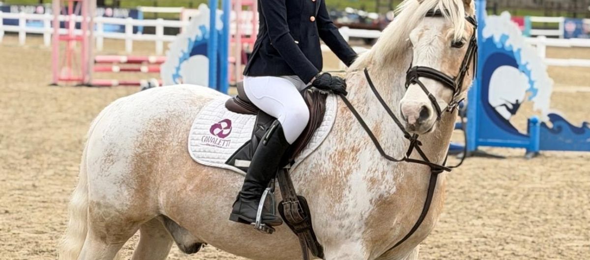 Rider on a palomino pony wearing a Cavaletti Collection saddle pad, stirrup visible, at a showjumping arena