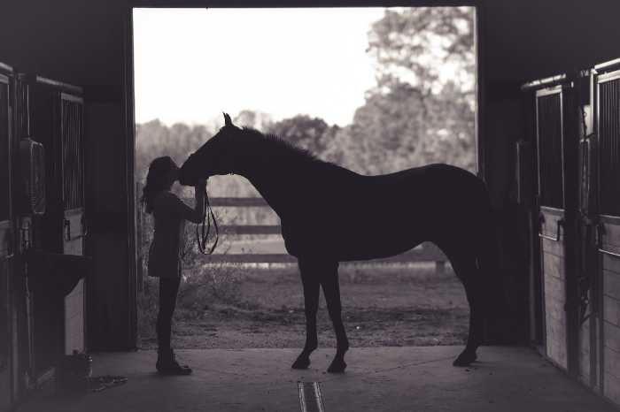 horse and person standing in stable