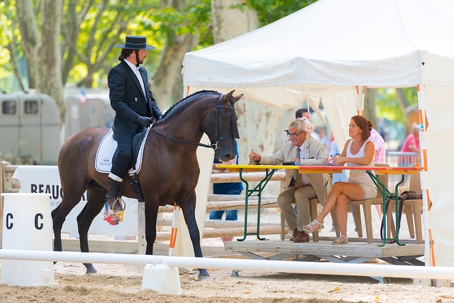 man in wide had sitting on a horse and chatting to dressage judges