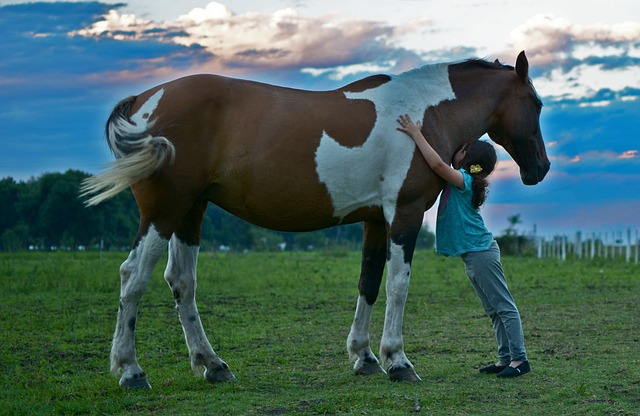 girl hugging a big horse