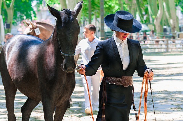 horse showing