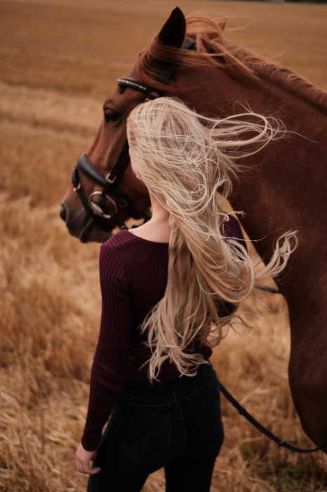 blonde girl standing with brown horse