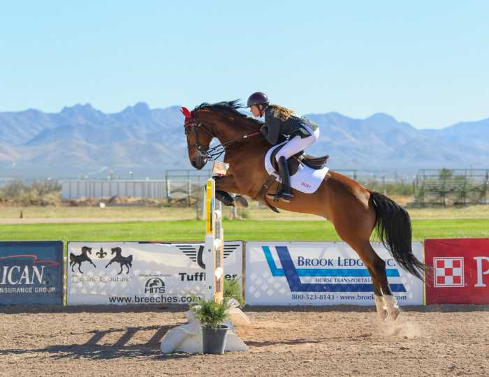 horse jumping over hurdles in showjumping competition